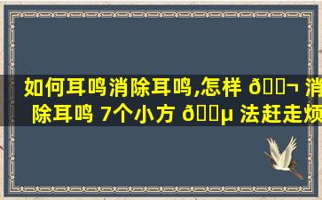 如何耳鸣消除耳鸣,怎样 🐬 消除耳鸣 7个小方 🌵 法赶走烦人耳鸣